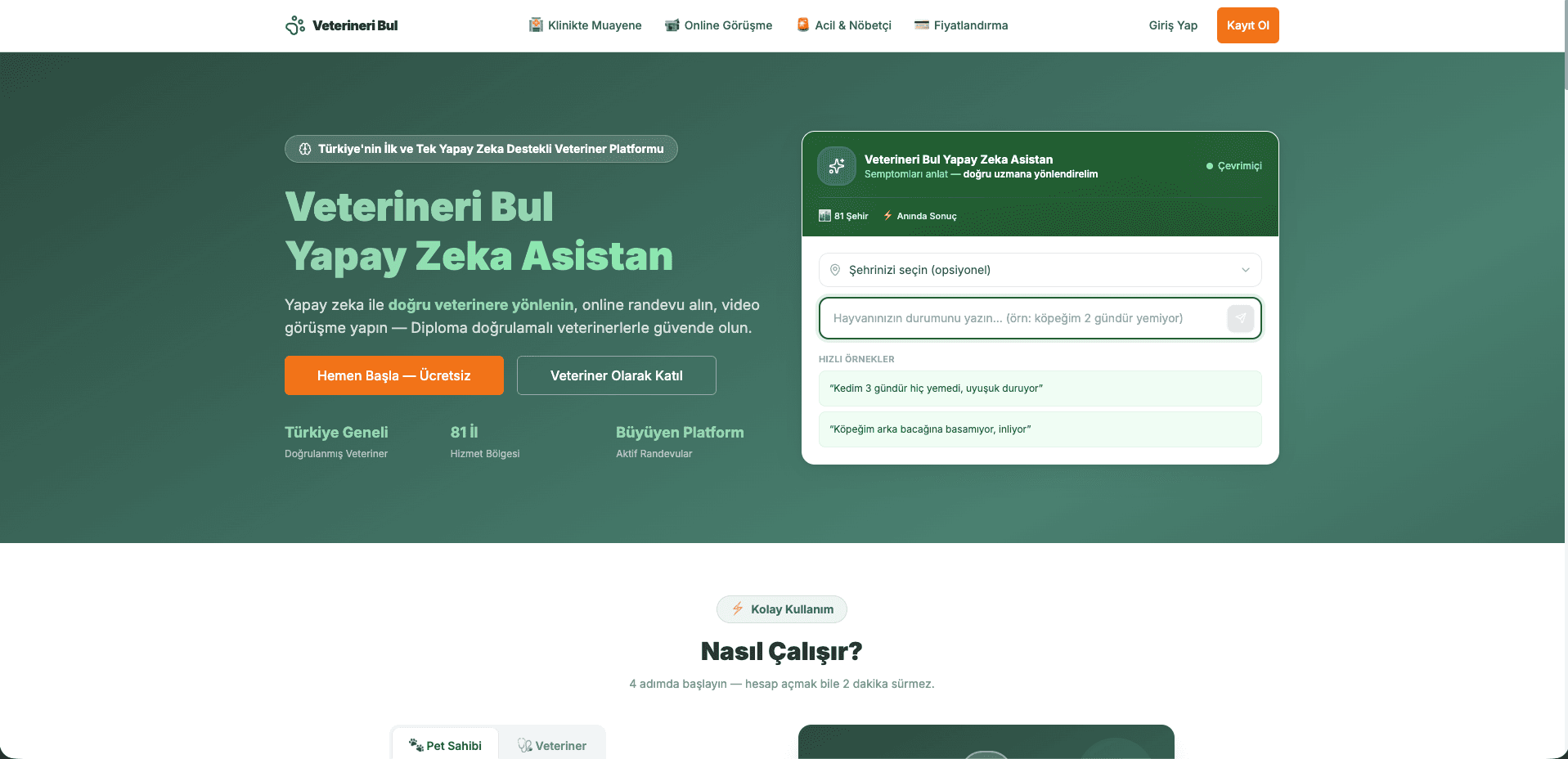 Veterineri Bul web sitesi ekran görüntüsü